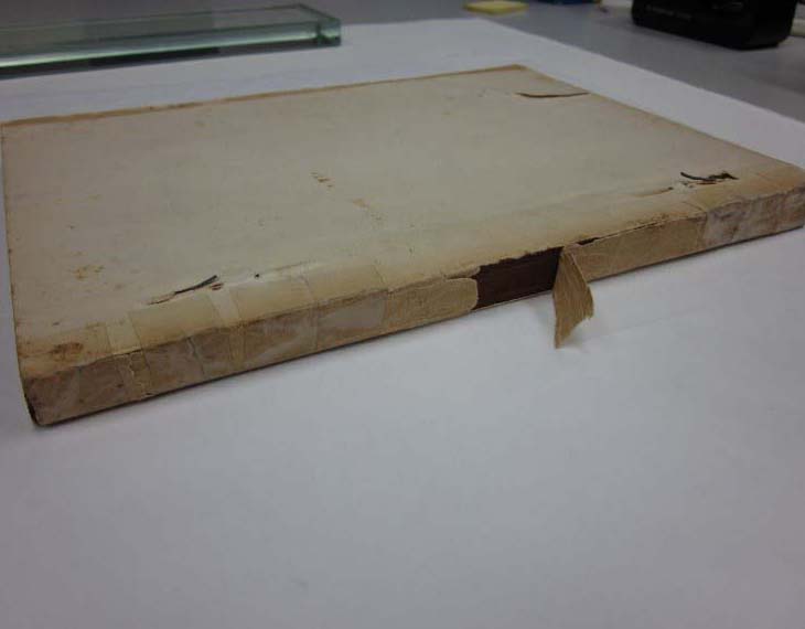 Damaged book spine