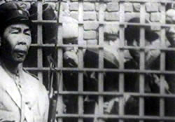 The Chinese Revolution