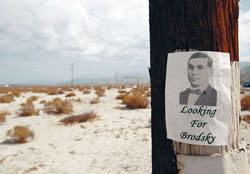 Search For Brodsky 2009