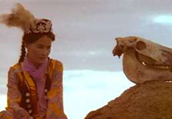 Journey to the Cossacks