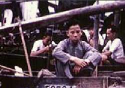 節目三 米高羅格回顧(二)