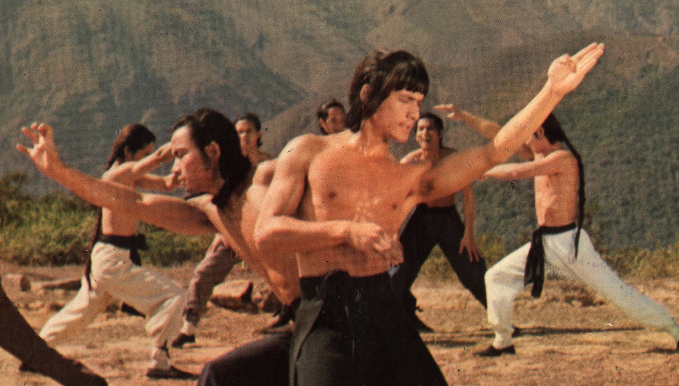 洪家拳対詠春拳('74香港) 洪家拳対詠春拳（1974年・香港）と少し「ドラ息子カンフー